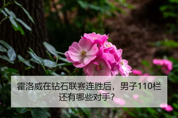 霍洛威在钻石联赛连胜后，男子110栏还有哪些对手？