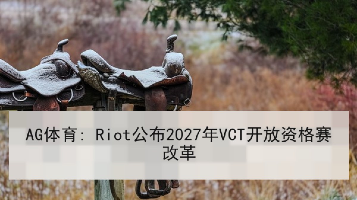 AG体育: Riot公布2027年VCT开放资格赛改革