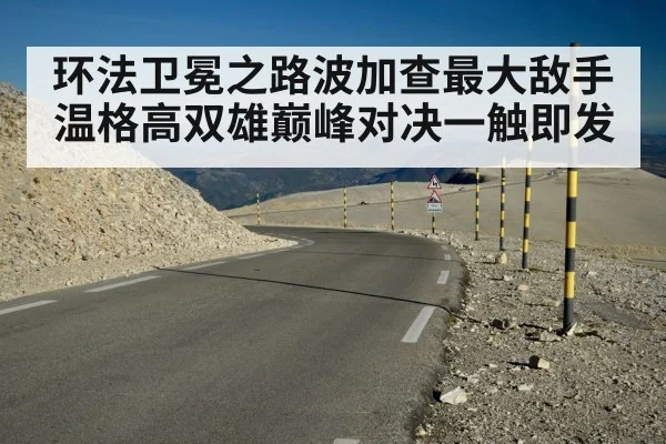 环法卫冕之路波加查最大敌手温格高双雄巅峰对决一触即发