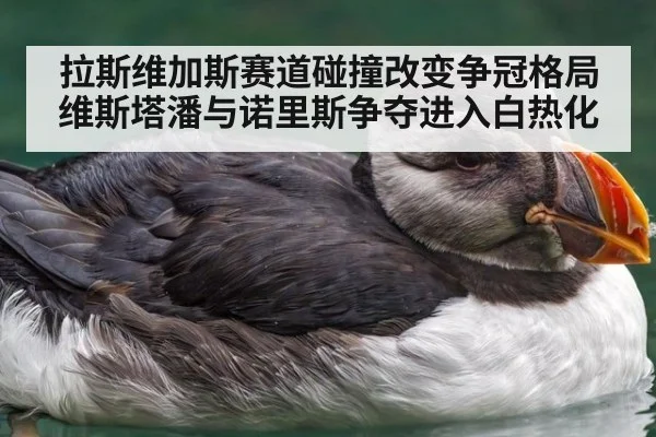 拉斯维加斯赛道碰撞改变争冠格局 维斯塔潘与诺里斯争夺进入白热化